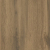 Дуб Вотан 